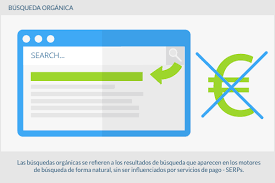 resultados organicos en buscadores