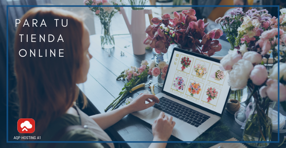 optimizando un catalogo web